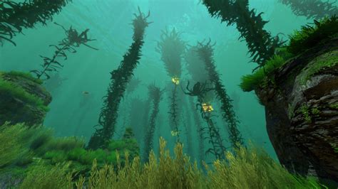 subnautica kelp forest